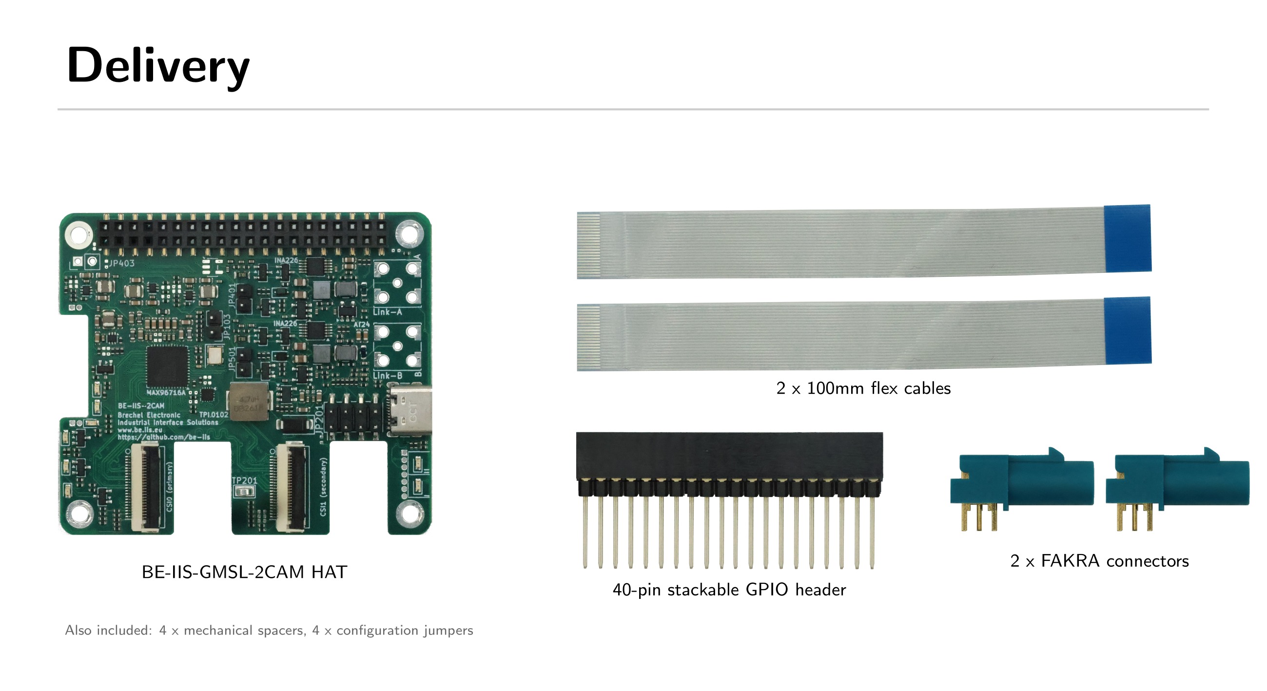 BE-IIS GMSL2 dual camera HAT delivery